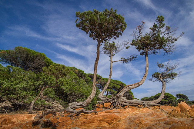 Que faire en Corse cet été