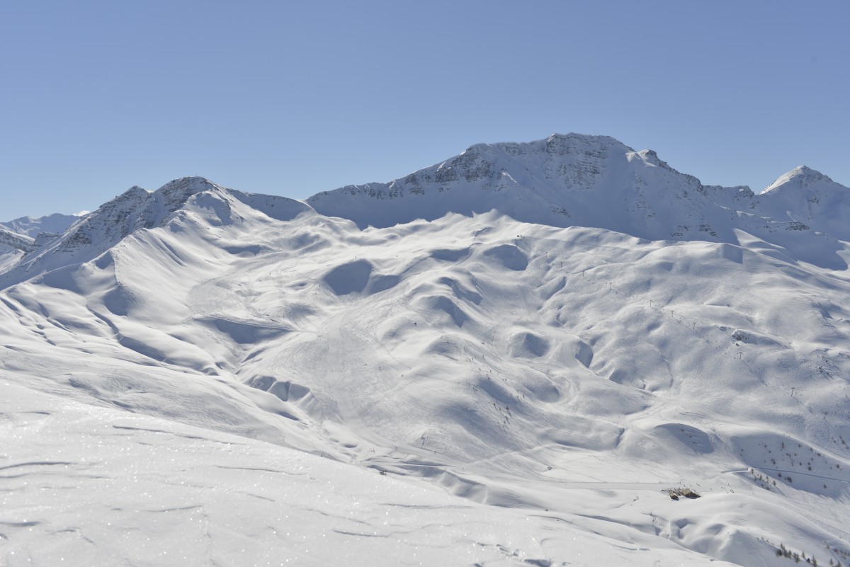 La Forêt Blanche