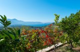 Calvi Luxury Rental Villa Diademe View