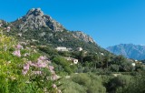 Calvi Location Villa Luxe Doste Vue