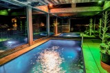 Chamonix Location Chalet Luxe Palambro Piscine