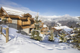 courchevel-1550-location-chalet-luxe-crocidolite