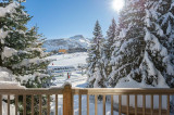 Courchevel 1850 Location Chalet Luxe Cesario Vue