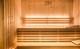 La Clusaz Location Appartement Luxe Luzulate Sauna