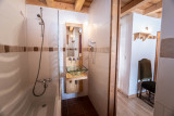 La Plagne Location Chalet Luxe Pyrite Douche