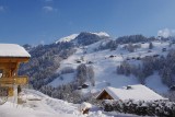 le-grand-bornand-location-chalet-luxe-leonite