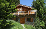 les-deux-alpes-location-chalet-luxe-topaze-dorée