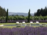 Luberon Location Villa Luxe Limette Piscine 3