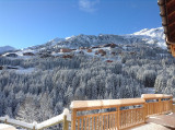 meribel-location-chalet-luxe-mesalite