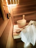 Peisey Vallandry  Location Appartement Luxe Marcassite Sauna