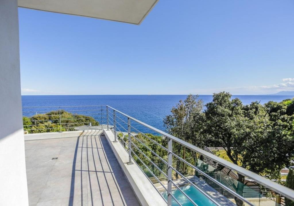 brando-location-villa-luxe-amsonia