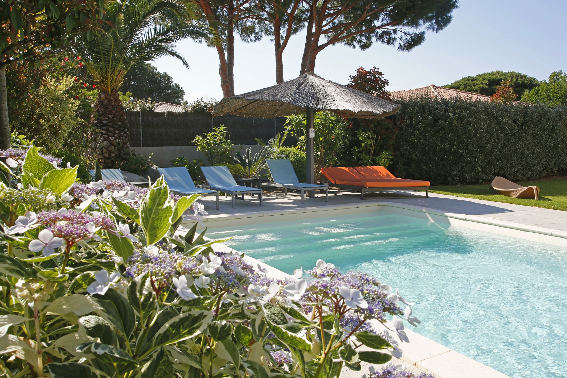 Calvi Location Villa Luxe Crisson Piscine