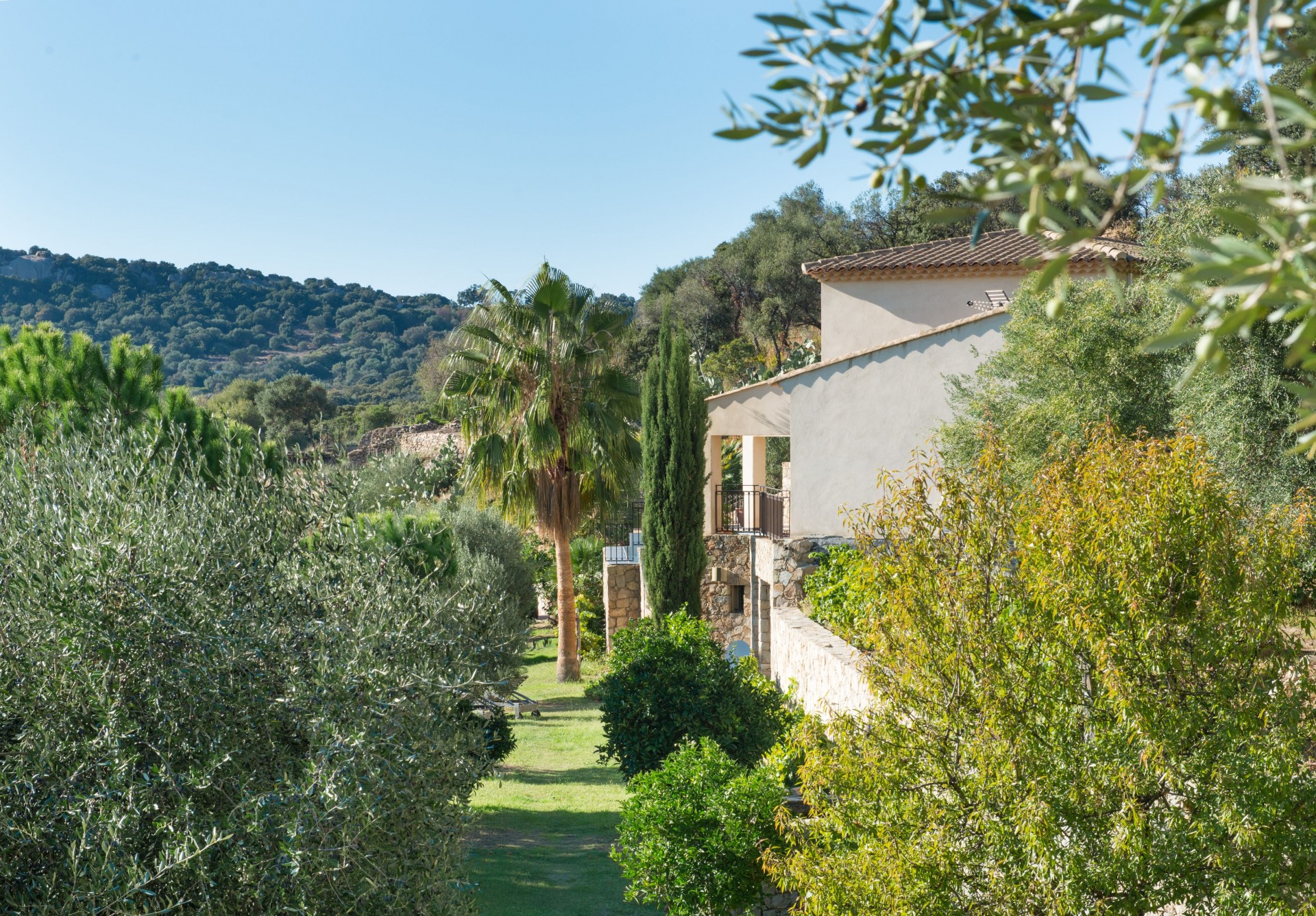 Calvi Luxury Rental Villa Diademe Royal Exterior