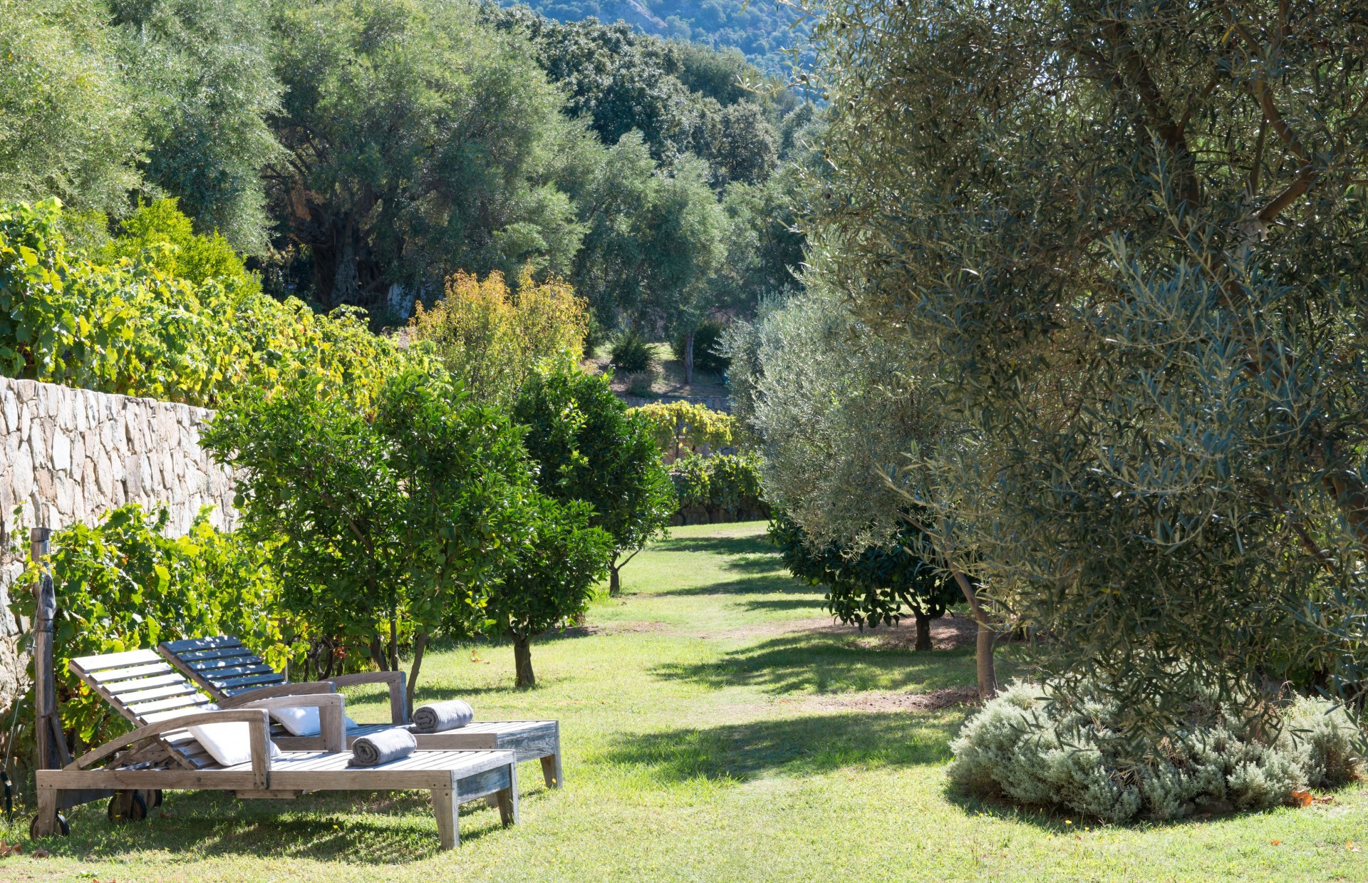 Calvi Location Villa Luxe Diademe Royal Jardin