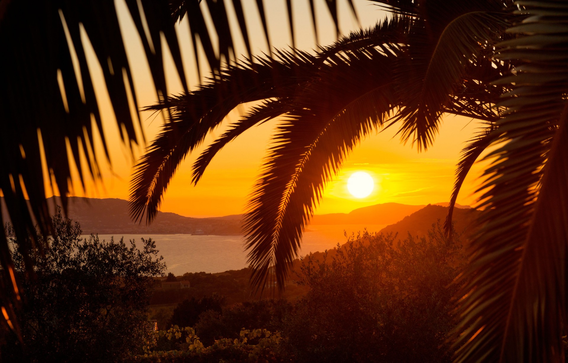 Calvi Location Villa Luxe Doste Vue Mer