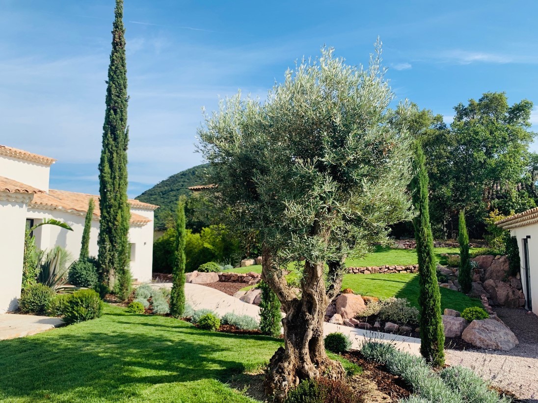 Cannes Luxury Rental Villa Coronille Garden 2