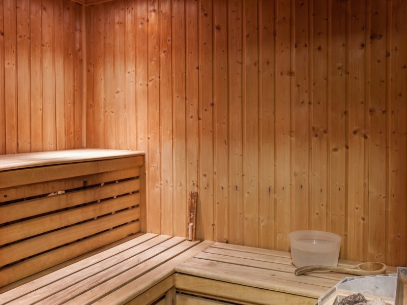 Chamonix Location Appartement Luxe Charlesite Sauna 