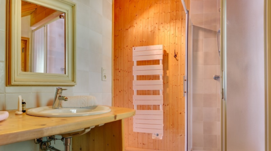 Chatel Location Chalet Luxe Chadwickite Salle De Bain