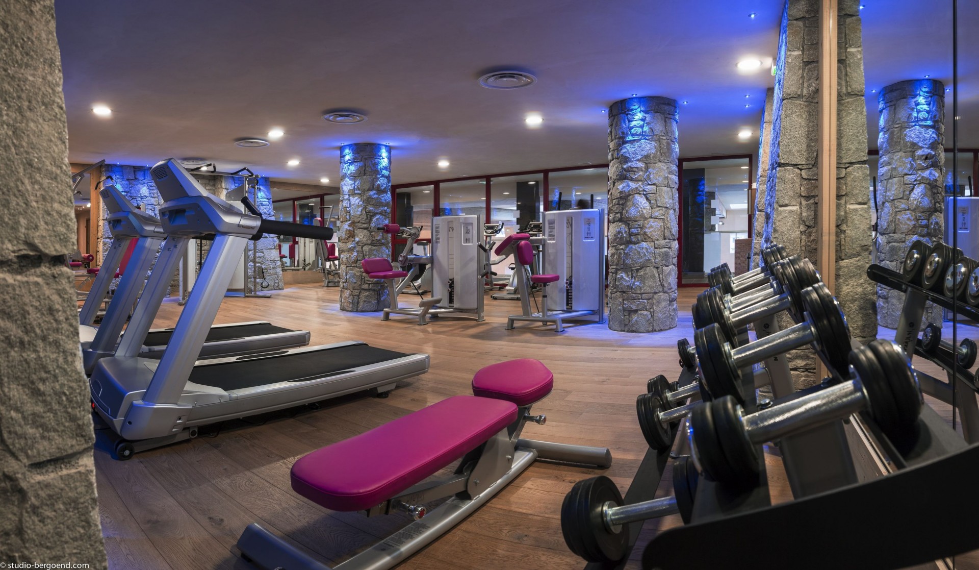 Flaine Rental Apartment Luxury Fangite DuplexFitness Room