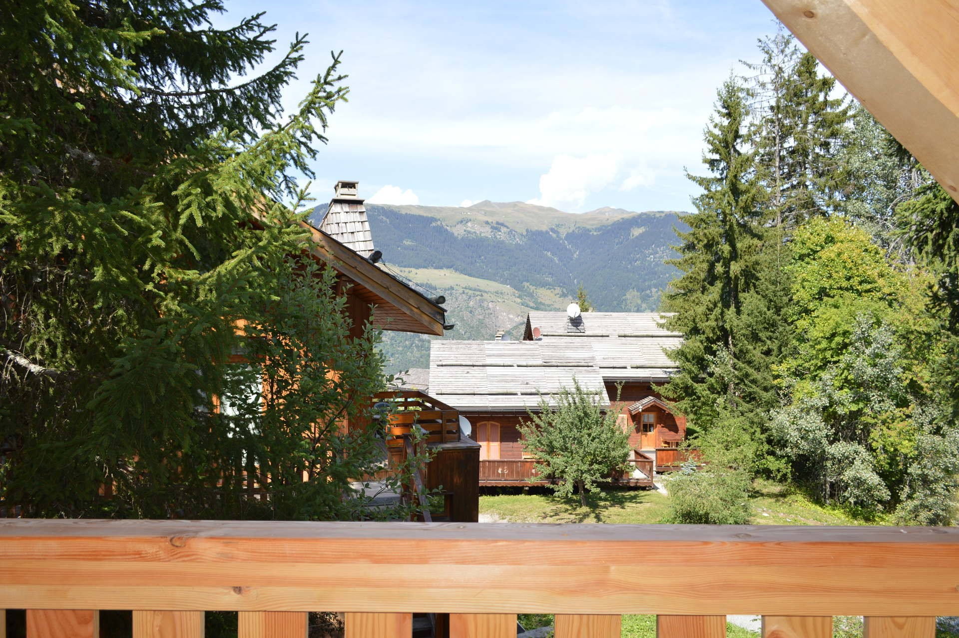 La Tania Location Chalet Luxe Counite Vue Montagne