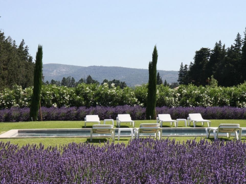 Luberon Luxury Rental Villa Limette Pool 3