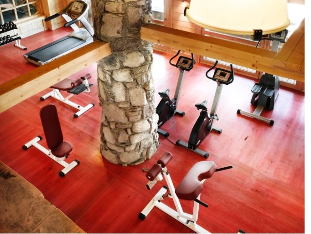 Peisey Vallandry  Location Appartement Luxe Magic Stone Duplex Salle De Fitness