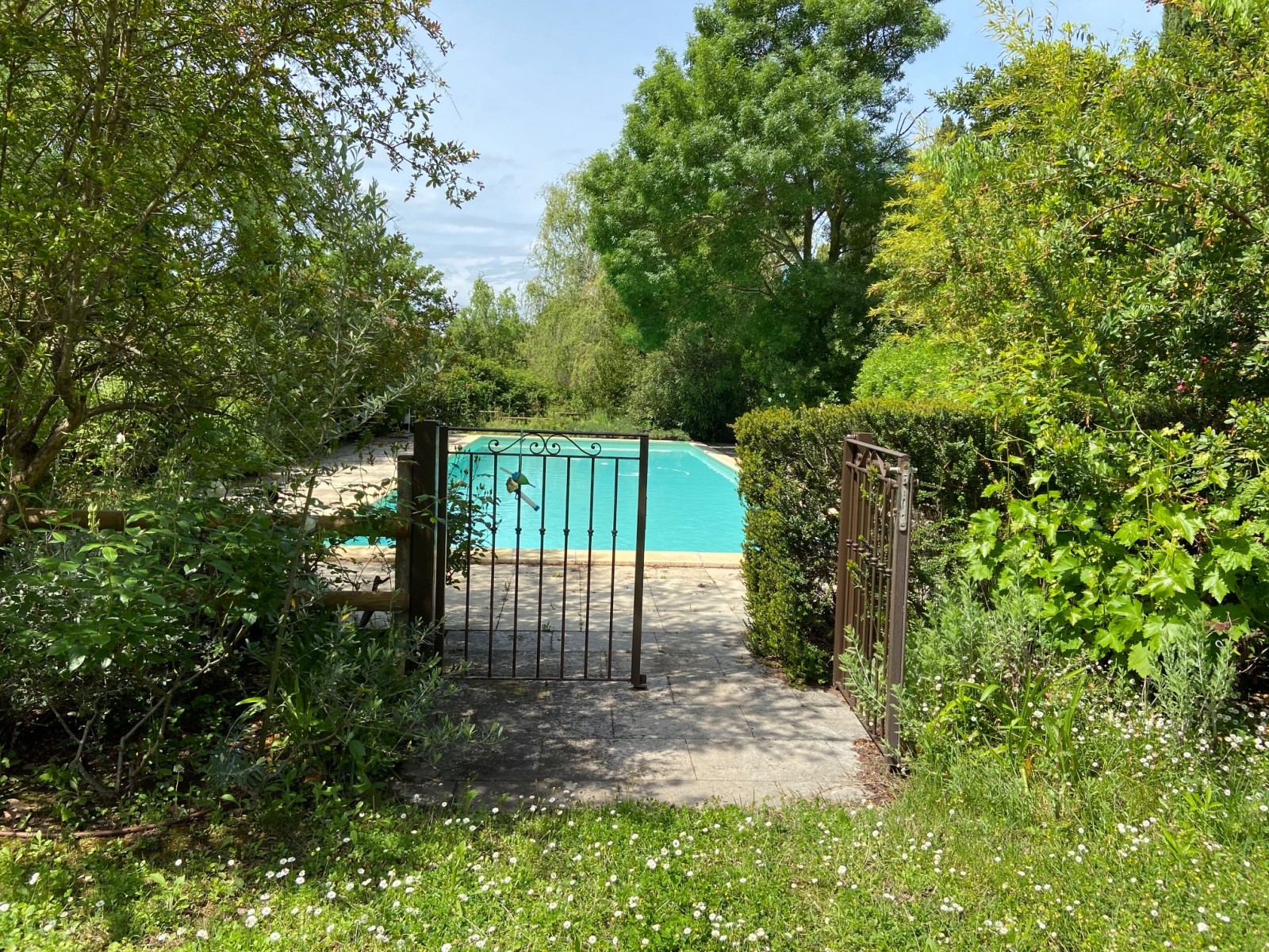 Saint Rémy De Provence Luxury Rental Villa Mahilia Pool 2
