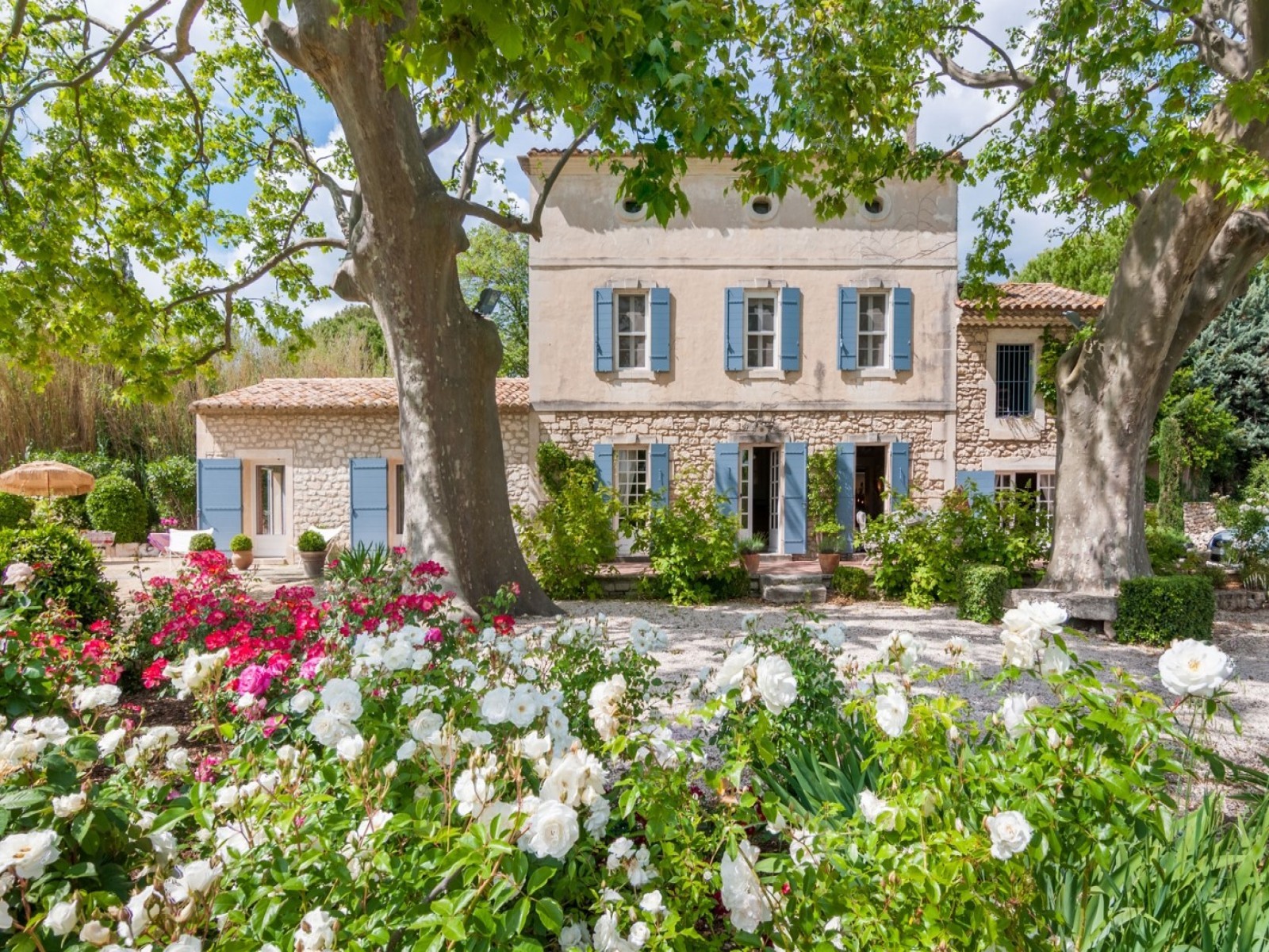 Saint Rémy De Provence Location Villa Luxe Micavite Extérieur