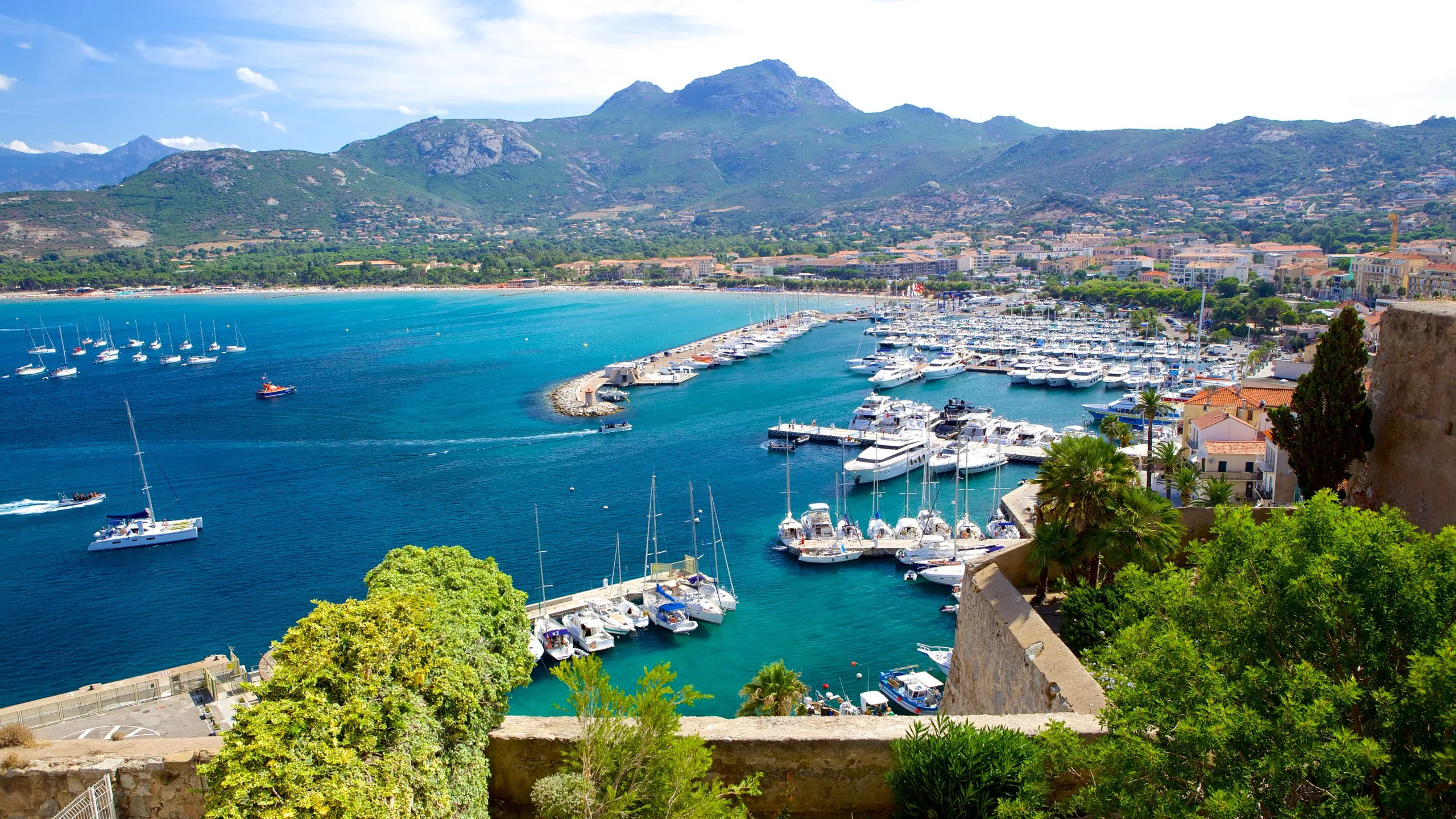 Calvi : citadelle et baie en Balagne