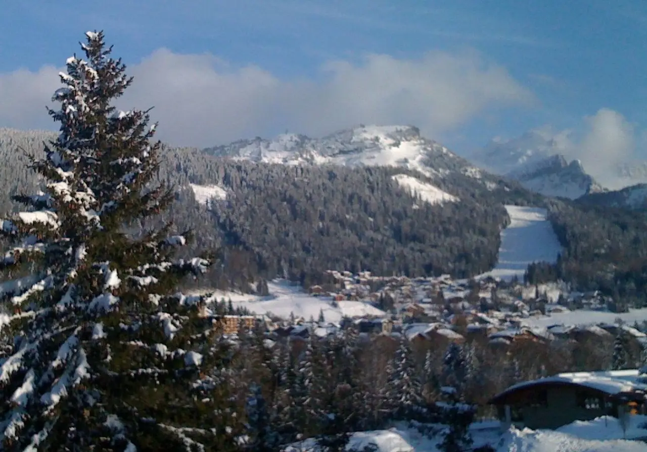Les Carroz : location de chalets et appartements