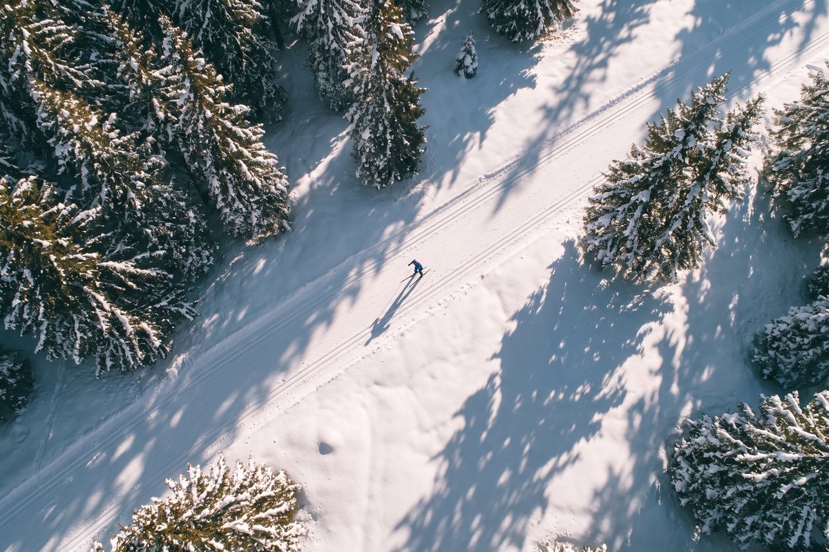 Pistes de ski de fond en forêt à Courchevel
