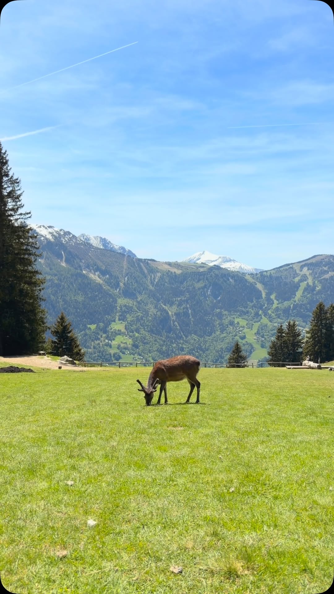 Peace and quiet at @parc_de_merlet ⛰️✨ Booking is mandatory to access the parc.